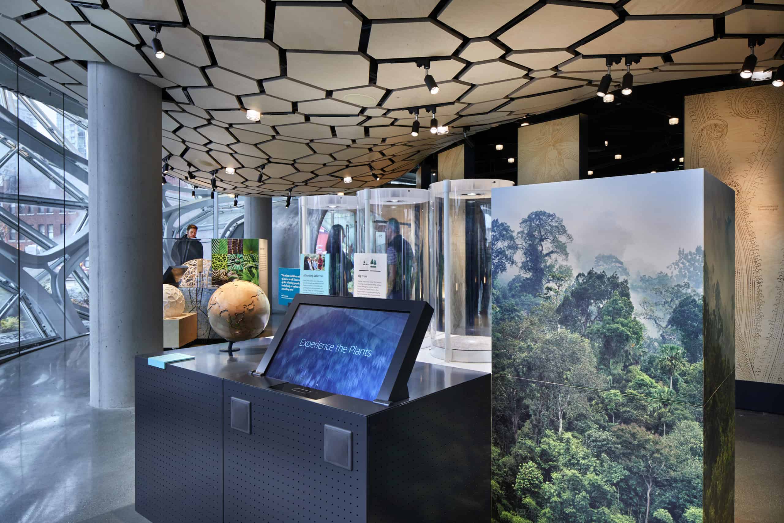 Design a modern exhibit room with a hexagonal ceiling, large screens, nature displays, and natural light. Visitors observe exhibits.