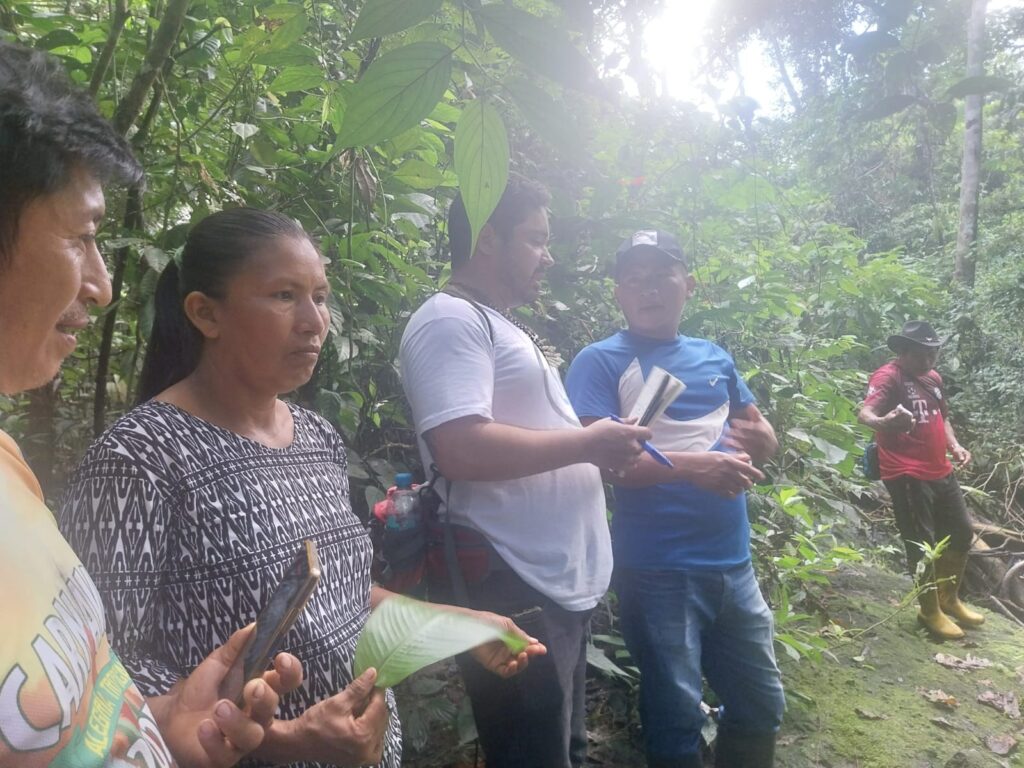 Trabajo de campo